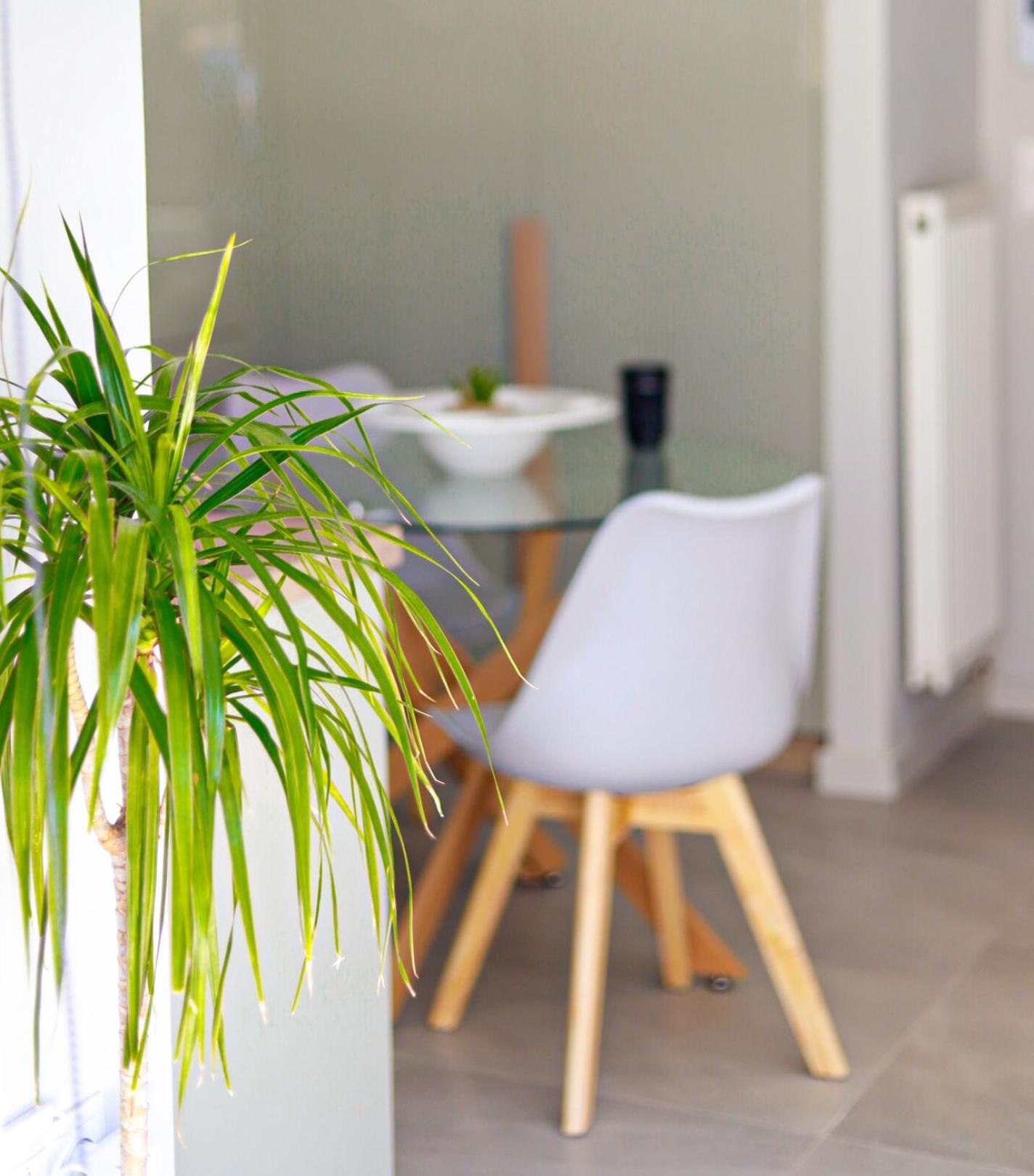 Cutie Studio Apartment In Koukaki Athen Eksteriør bilde
